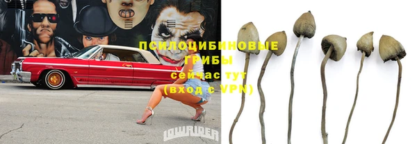 ешки Алексеевка