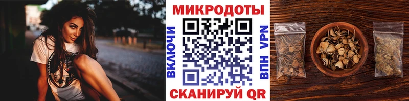 Псилоцибиновые грибы ЛСД  даркнет сайт  Данков 